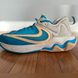 Nike Giannis Immortality 3 "Nigeria x Greece" men's basketball shoe. size 9